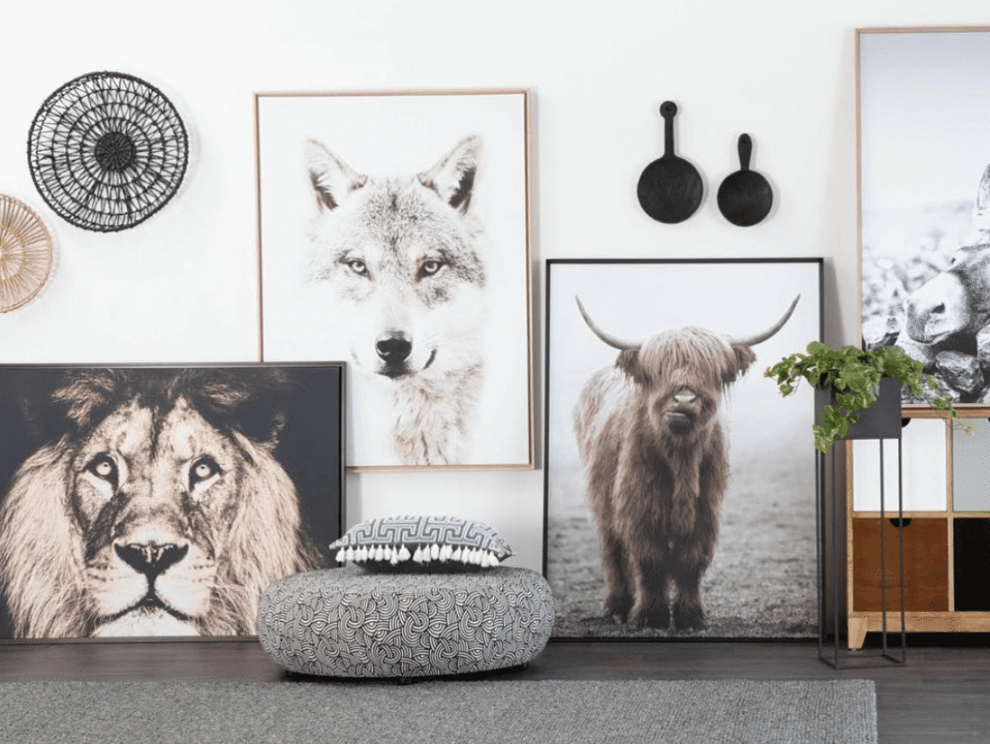 Trending Now | Aussie COBO